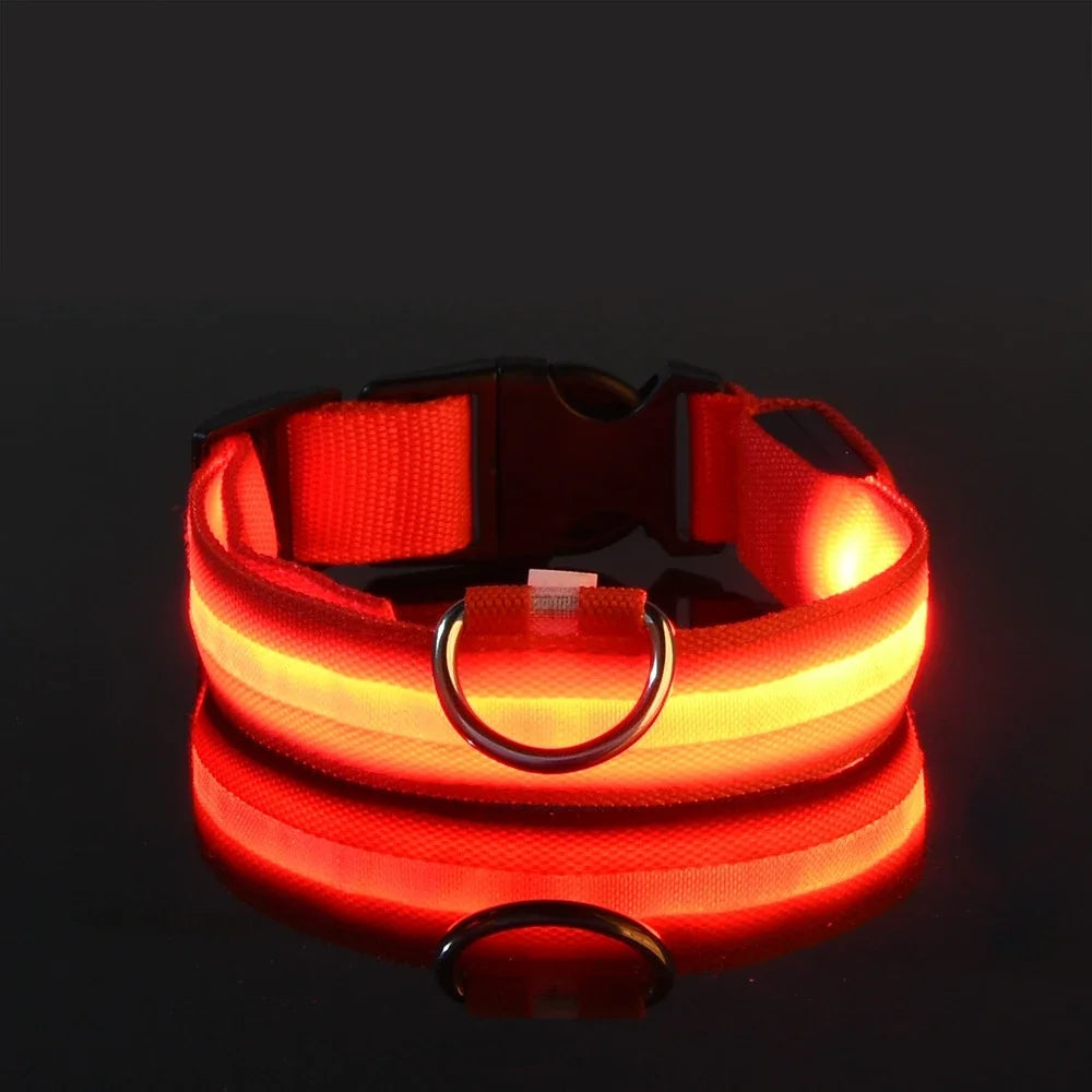 Dogs and Cats LED Night Safety Flashing Glow in the Dark Leash Luminous Fluorescent Dog Accessories Collar