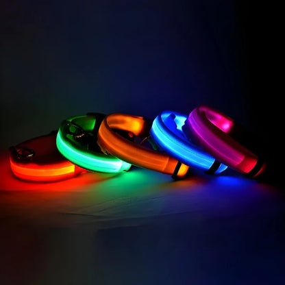 Dogs and Cats LED Night Safety Flashing Glow in the Dark Leash Luminous Fluorescent Dog Accessories Collar
