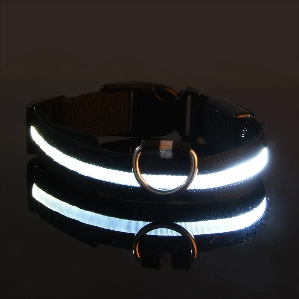 Dogs and Cats LED Night Safety Flashing Glow in the Dark Leash Luminous Fluorescent Dog Accessories Collar
