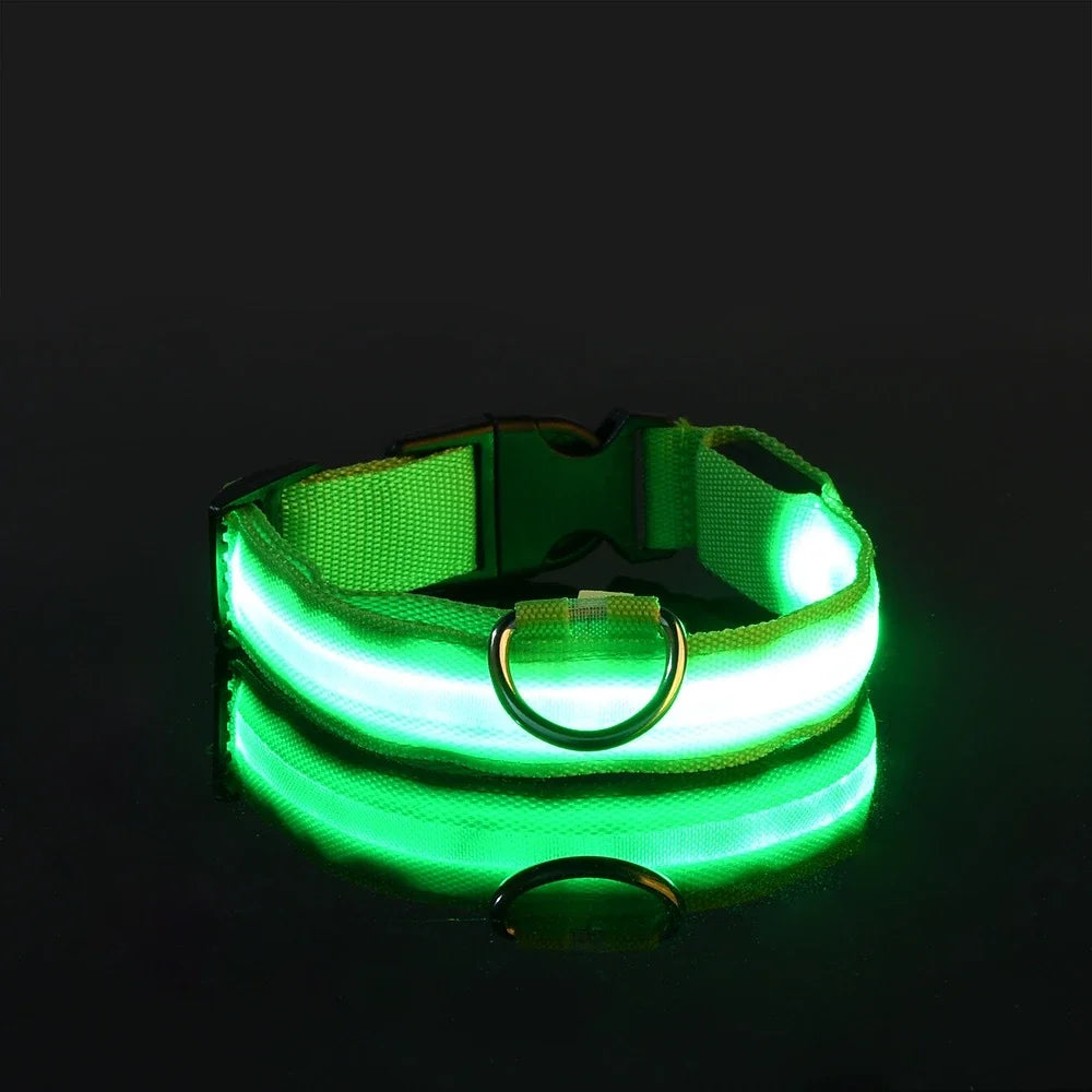 Dogs and Cats LED Night Safety Flashing Glow in the Dark Leash Luminous Fluorescent Dog Accessories Collar