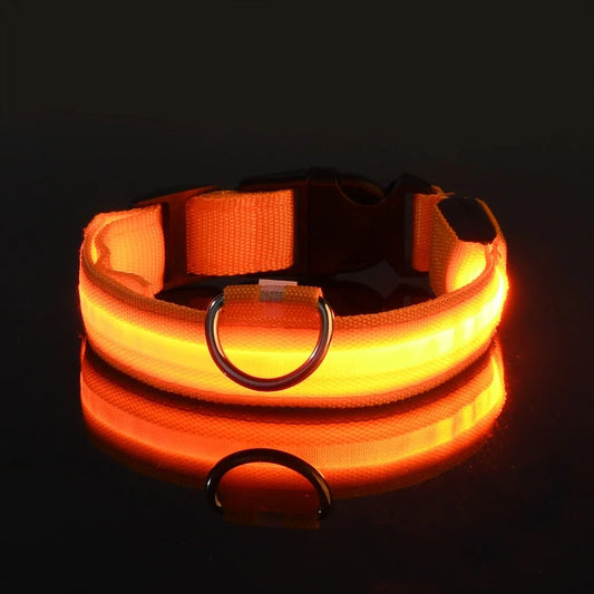 Dogs and Cats LED Night Safety Flashing Glow in the Dark Leash Luminous Fluorescent Dog Accessories Collar