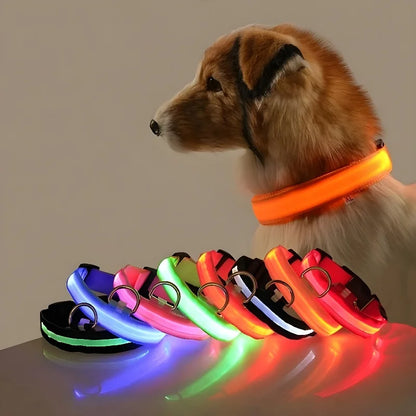 Dogs and Cats LED Night Safety Flashing Glow in the Dark Leash Luminous Fluorescent Dog Accessories Collar