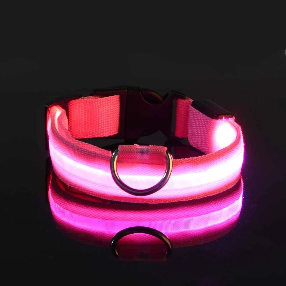 Dogs and Cats LED Night Safety Flashing Glow in the Dark Leash Luminous Fluorescent Dog Accessories Collar