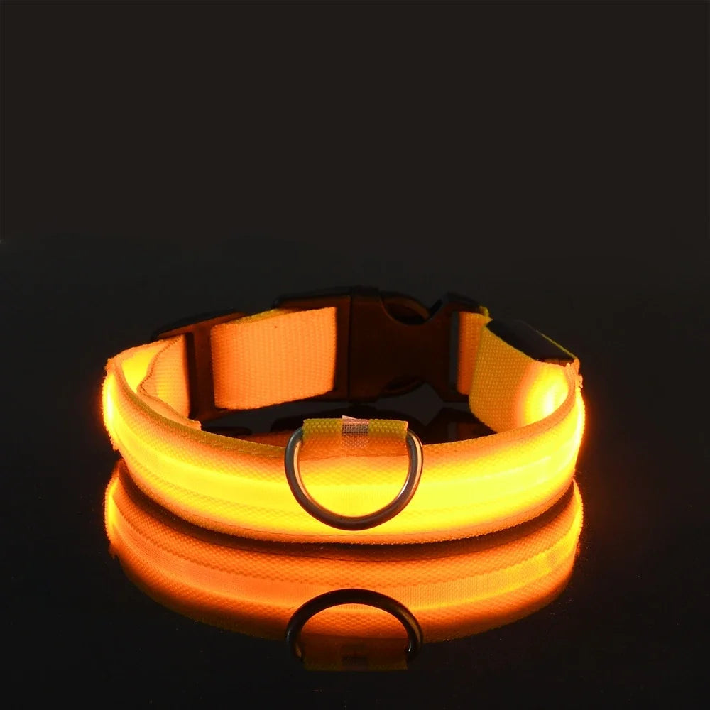 Dogs and Cats LED Night Safety Flashing Glow in the Dark Leash Luminous Fluorescent Dog Accessories Collar